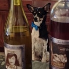 Pondl Winery event photo