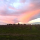 Pondl Winery event photo